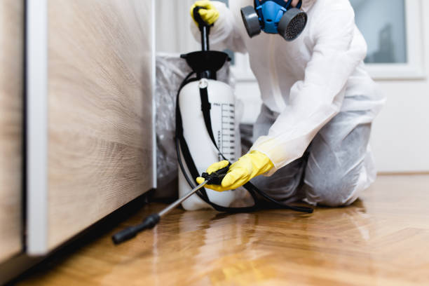 Best Emergency Pest Control  in Ossun, LA