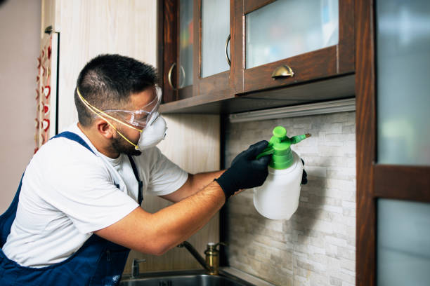 Best Affordable Pest Control Services  in Ossun, LA