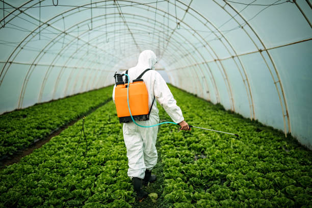 Best Pest Control Treatment  in Ossun, LA