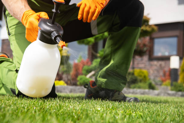 Best Residential Pest Control  in Ossun, LA