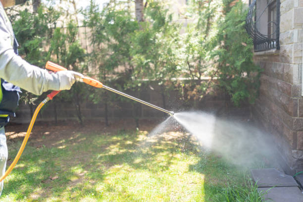 Best Affordable Pest Control Services  in Ossun, LA