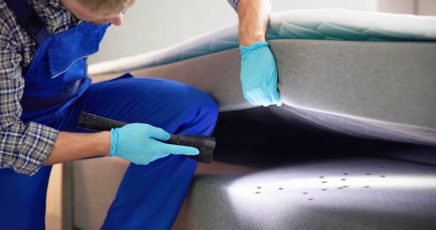 Best Best Pest Control Companies  in Ossun, LA