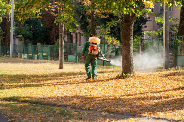 Pest Prevention Services in Ossun, LA
