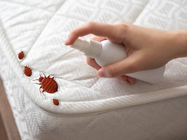 Best Exterminator Services  in Ossun, LA