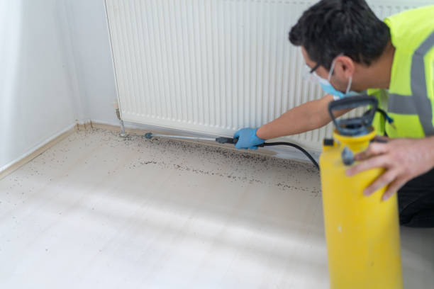 Professional Pest Control in Ossun, LA