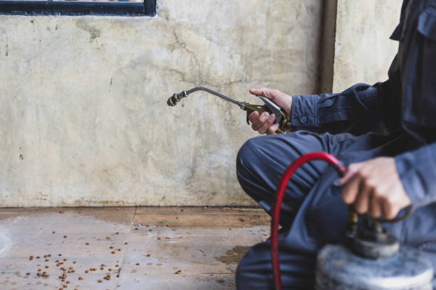 Best Exterminator Services  in Ossun, LA